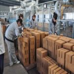 Planta de producción de Ladrillos Quemados: